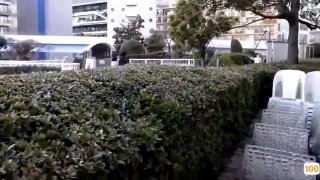 久久亚洲精品中文字幕